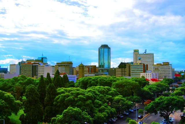 Harare skyline and trees with the Reserve Bank tower in the background.