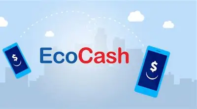 EcoCash mobile money verification process linked to Zimbabwe National ID database under RBZ directive