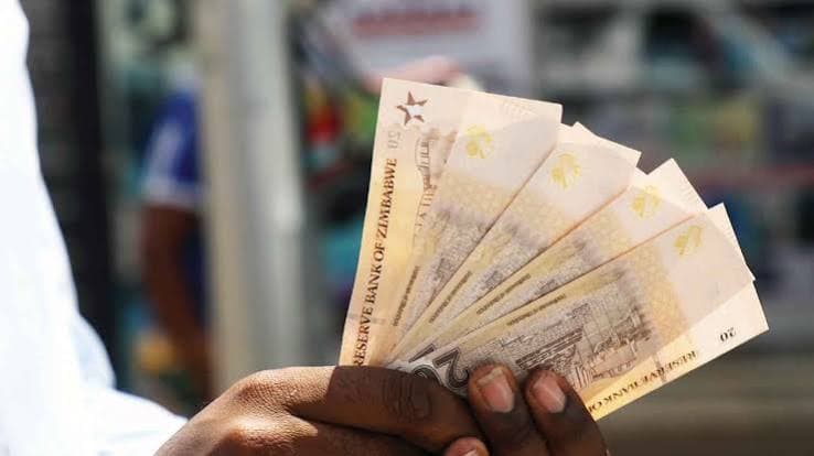 Zimbabwe Gold and US dollar banknotes representing Zimbabwe’s dual-currency economy.
