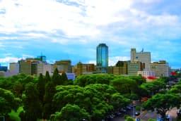 Harare skyline and trees with the Reserve Bank tower in the background.