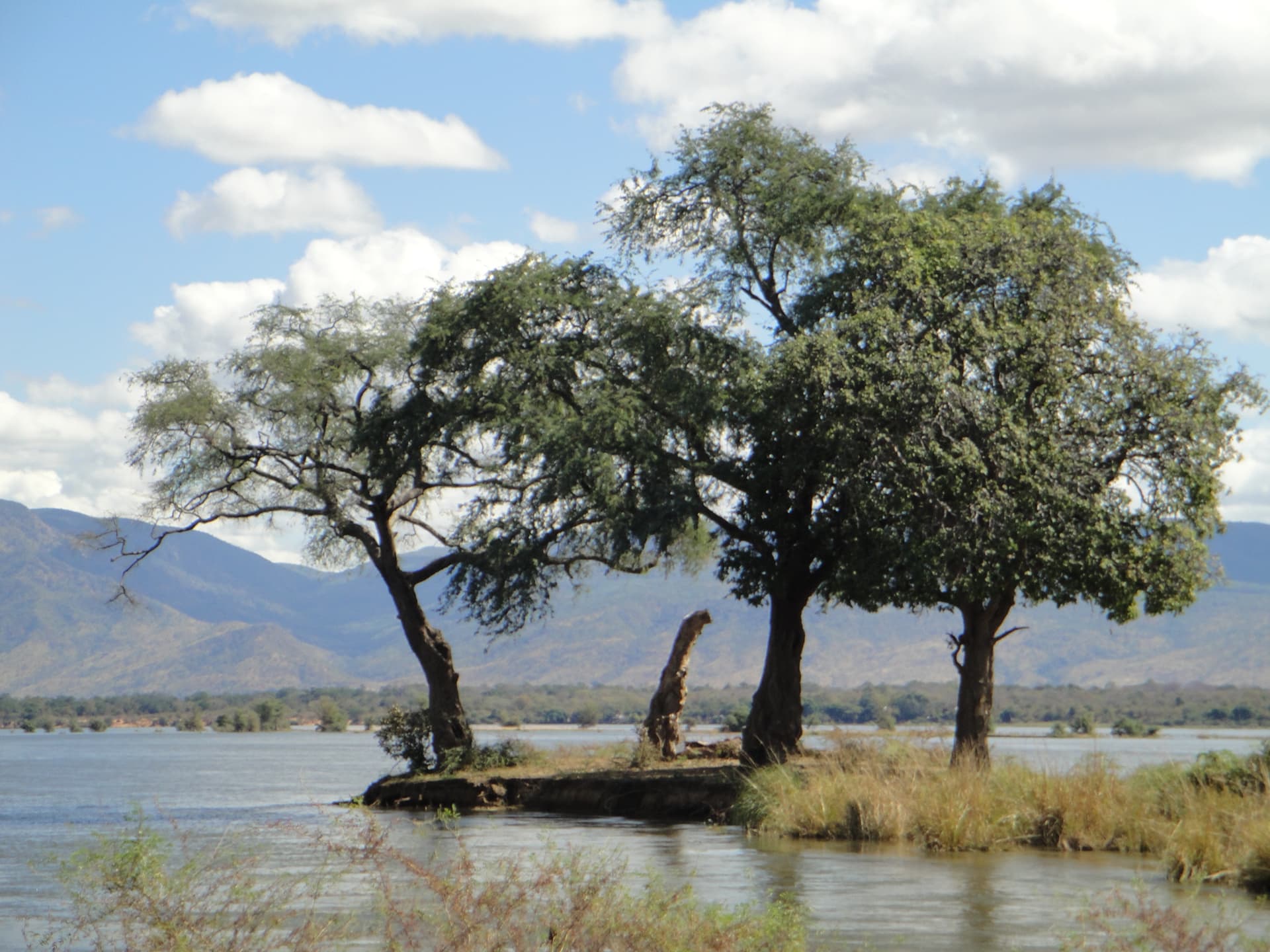 An island and river channels in the Zambezi at Mana Pools National Park.